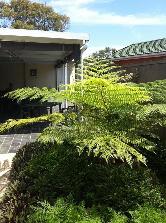 The Crescent Guesthouses - Bnb/Self Catering ダーバン エクステリア 写真